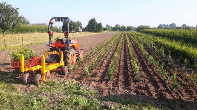 Coniferen rooien verplanten Loonbedrijf van Kleef