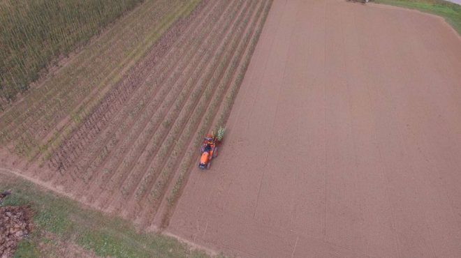 Loonbedrijf van Kleef bomen planten