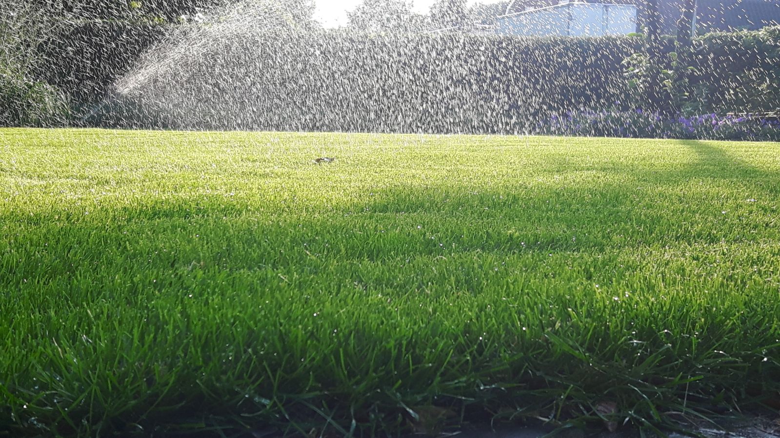 Gras beregening systeem Loonbedrijf van Kleef