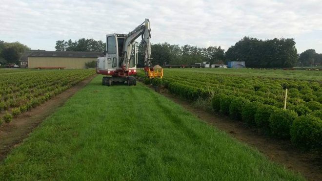 Loonbedrijf van kleef - buxus rooien uitsteken verplanten