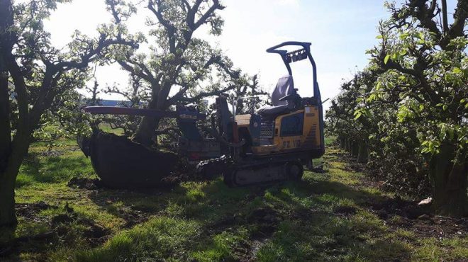 Loonbedrijf van kleef - fruitbomen rooien uitsteken verplanten