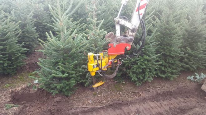 Loonbedrijf van kleef - kerstbomen rooien uitsteken verplanten