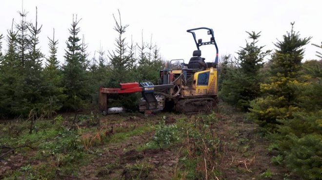 Loonbedrijf van kleef - fruitbomen rooien uitsteken verplanten