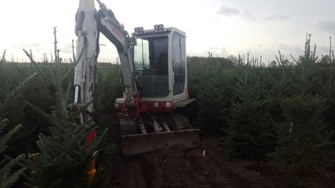 Loonbedrijf van kleef - kerstbomen rooien uitsteken verplanten