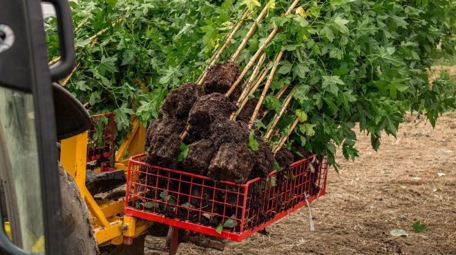 Loonbedrijf van Kleef - machinaal planten - lienden