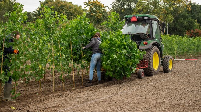 Loonbedrijf van Kleef - machinaal planten - lienden