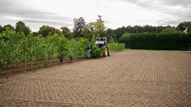 Loonbedrijf van Kleef - machinaal planten - lienden