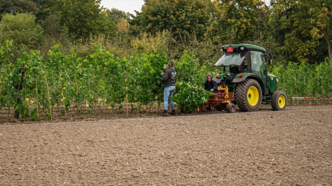 Loonbedrijf van Kleef - machinaal planten - lienden