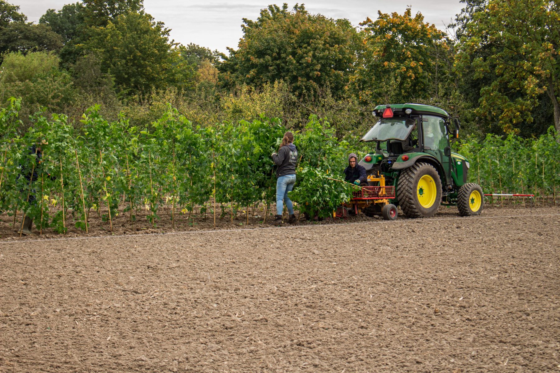 Loonbedrijf van Kleef - machinaal planten - lienden