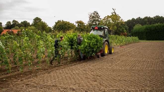 Loonbedrijf van Kleef - machinaal planten - lienden