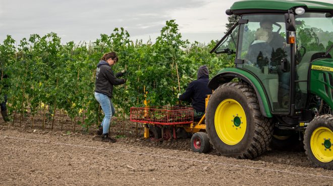 Loonbedrijf van Kleef - machinaal planten - lienden