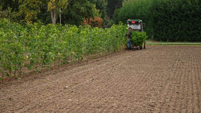 Loonbedrijf van Kleef - machinaal planten - lienden