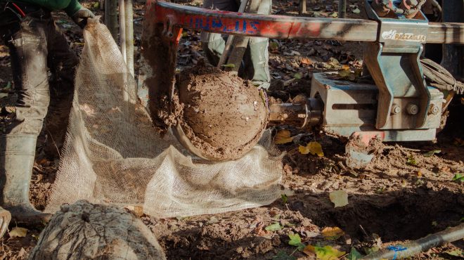 Bomen Loonbedrijf van Kleef